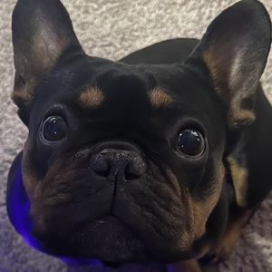 Meet your Posher, Jon e